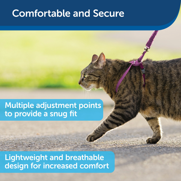 PetSafe Come with Me Kitty Dusty Rose & Burgundy Harness and Bungee Leash for Cats