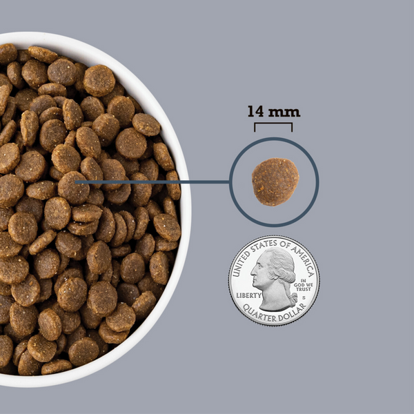 ACANA Adult Dry Dog Food Light & Fit Recipe