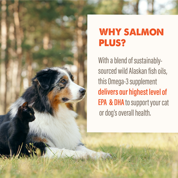 Grizzly Salmon Plus Omega 3-6-9 Food Supplement for Dogs and Cats