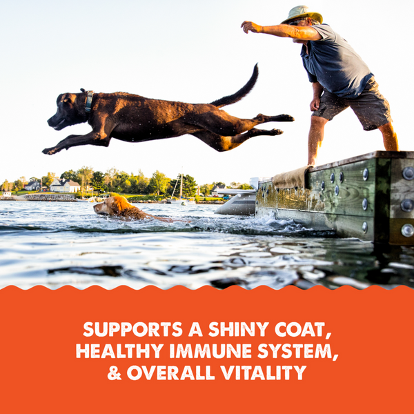 Grizzly Salmon Plus Omega 3-6-9 Food Supplement for Dogs and Cats
