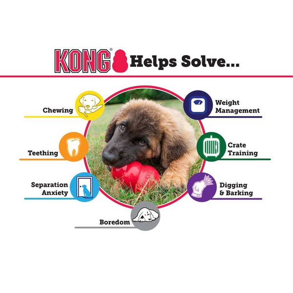 Kong Puppy Toy