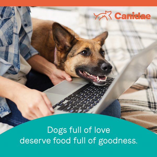 Canidae Pure Farm To Bowl Wild-Caught Salmon & Sweet Potato Recipe Dog Food