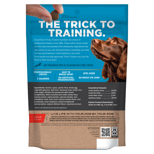 Cloud Star Tricky Trainers Chewy Salmon Dog Treats