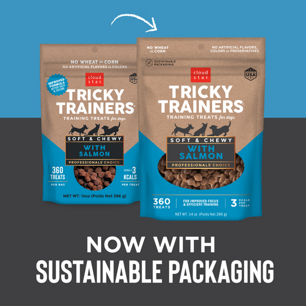 Cloud Star Tricky Trainers Chewy Salmon Dog Treats