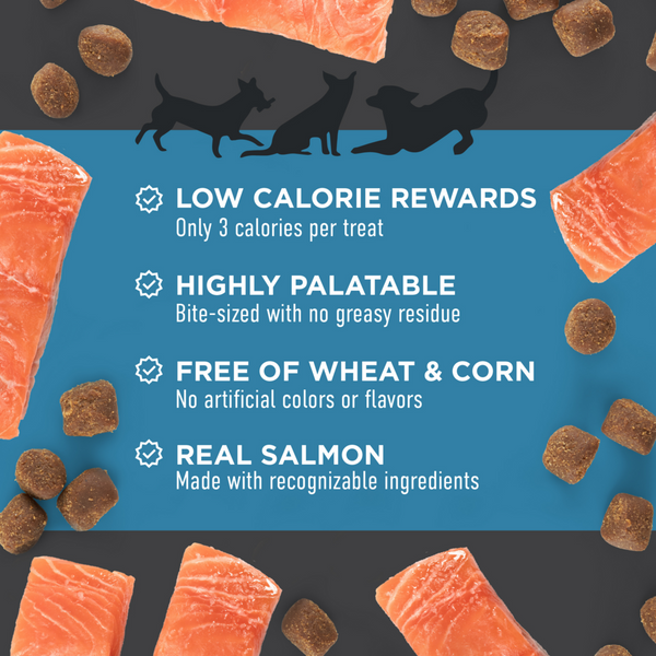 Cloud Star Tricky Trainers Chewy Salmon Dog Treats