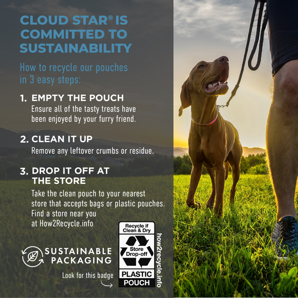Cloud Star Tricky Trainers Chewy Salmon Dog Treats