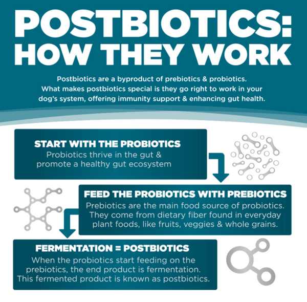 NutriSource Come-pooch-a Chicken Broth Food Topper