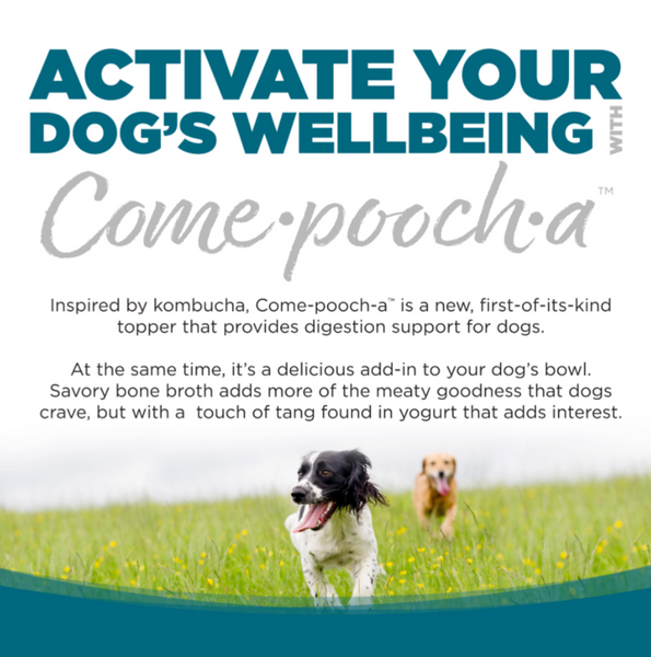 NutriSource Come-pooch-a Chicken Broth Food Topper