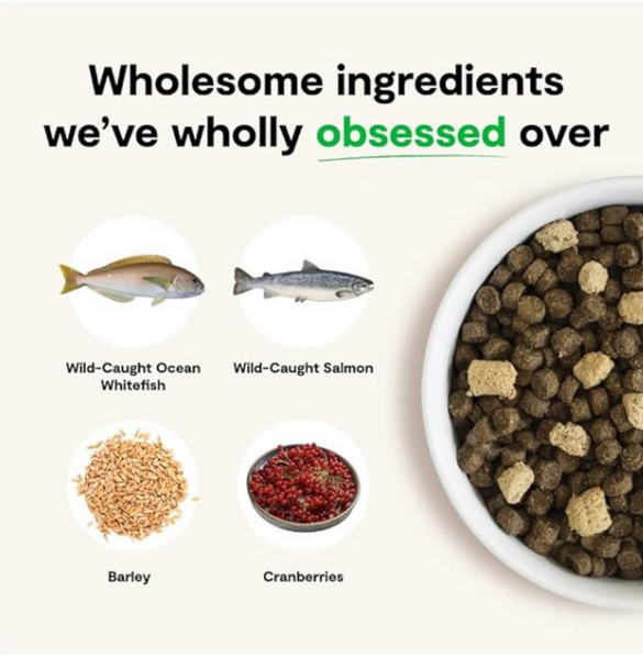 Open Farm RawMix Wild Ocean with Ancient Grains Dry Dog Food