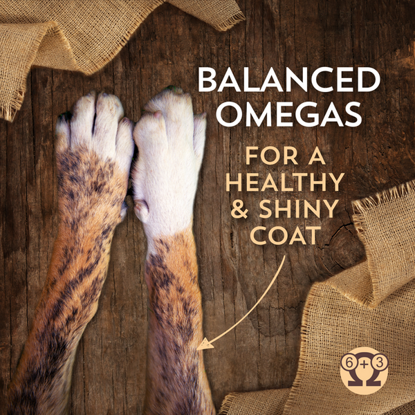 Wholesomes Grain Free Chicken Meal & Potatoes Recipe Dry Dog Food