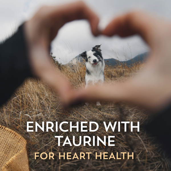 Wholesomes Grain Free Chicken Meal & Potatoes Recipe Dry Dog Food