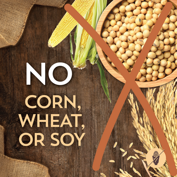 Wholesomes Grain Free Beef Meal & Potatoes Recipe Dry Dog Food