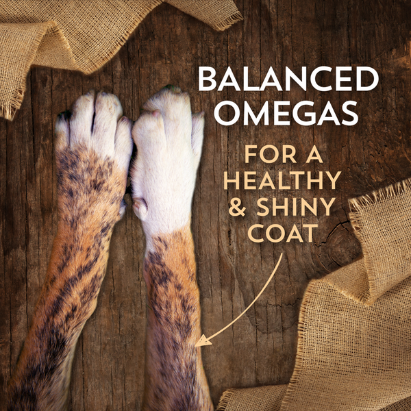 Wholesomes Grain Free Beef Meal & Potatoes Recipe Dry Dog Food