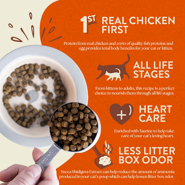 Earthborn Holistic Primitive Feline Grain-Free Dry Cat  Food