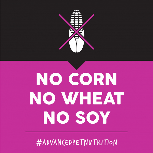 Ultimates Lamb Meal & Rice Dry Dog Food