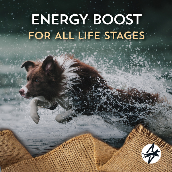 Wholesomes High Energy Dry Dog Food