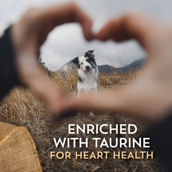 Wholesomes Sensitive Large Breed Dry Dog Food