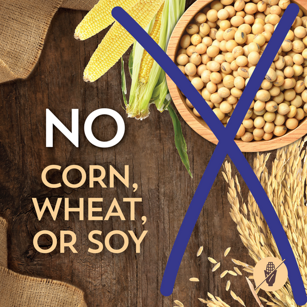 Wholesomes Fish Meal & Rice Recipe Dry Dog Food