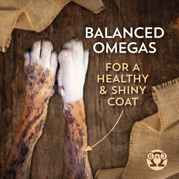 Wholesomes Fish Meal & Rice Recipe Dry Dog Food