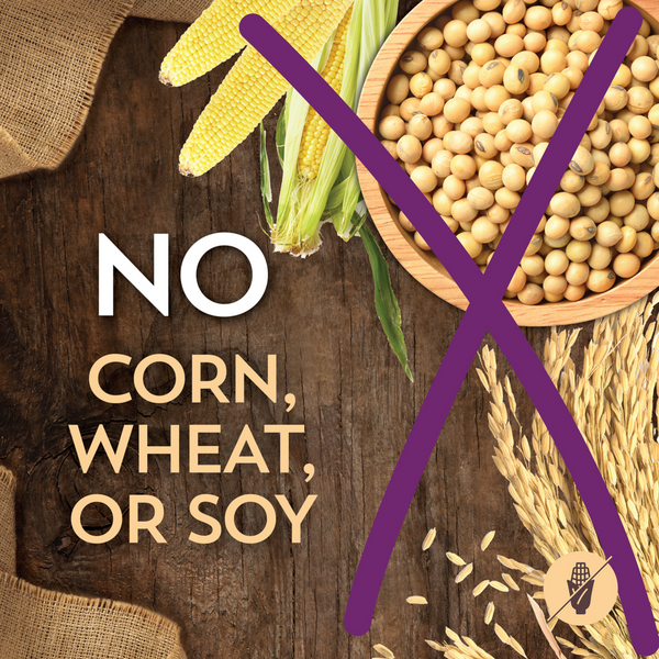 Wholesomes Lamb Meal & Rice Recipe Dry Dog Food