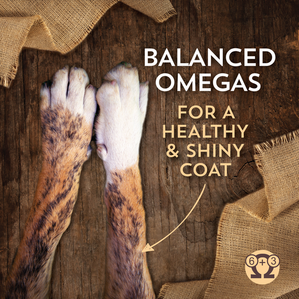Wholesomes Sensitive Lamb Dry Dog Food