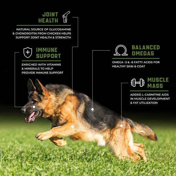 CanineX Grain Free Chicken Dry Dog Food