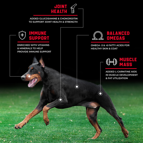 CanineX Grain Free Beef Dry Dog Food