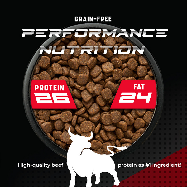 CanineX Grain Free Beef Dry Dog Food