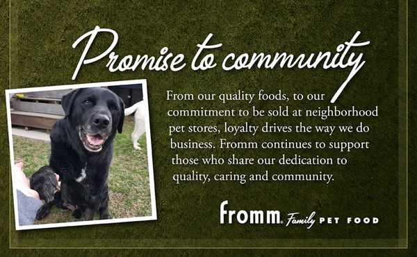 Fromm Classic Adult Chicken & Rice Pate Canned Dog Food