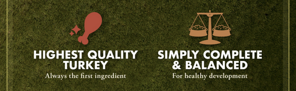 Fromm Classic Adult Turkey & Rice Pate Canned Dog Food