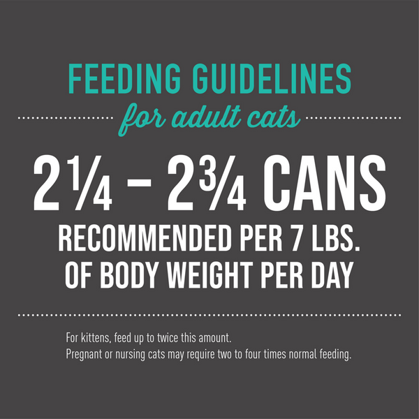 Tiki Cat Luau Wet Variety Pack Canned Cat Food