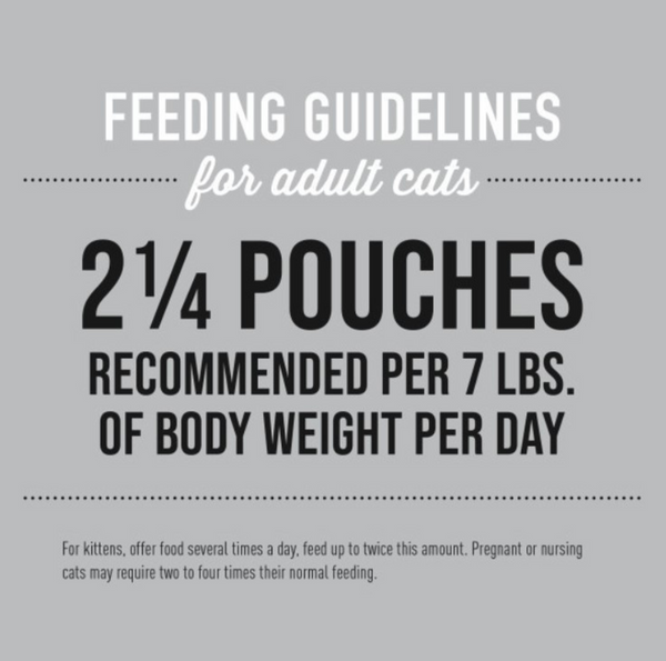 Tiki Cat Silver Mousse Chicken & Pumpkin Wet Cat Food for Seniors Food Pouch