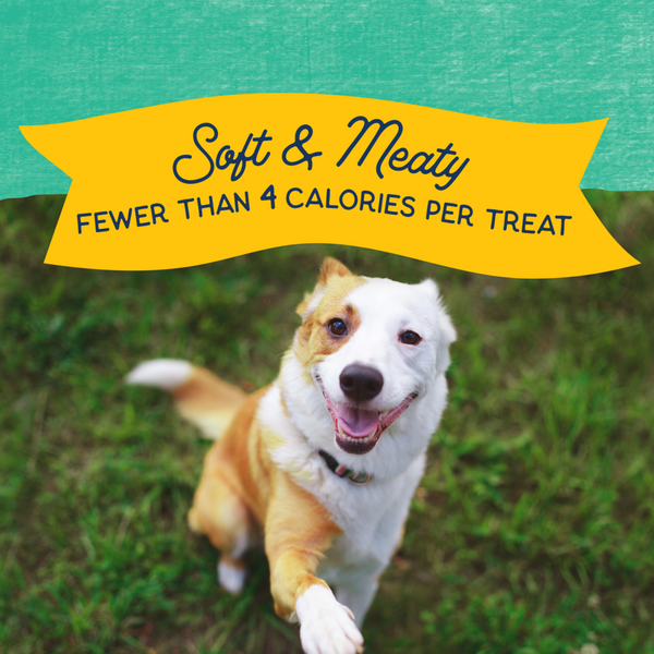 Natural Balance Rewards Minis Dog Treats with Real Chicken