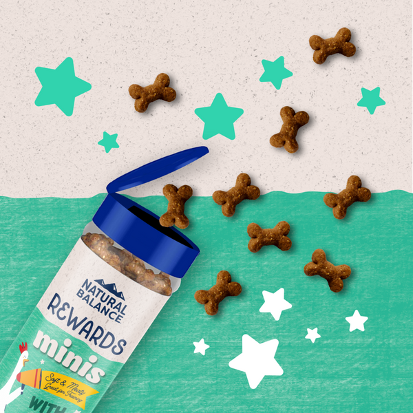 Natural Balance Rewards Minis Dog Treats with Real Chicken