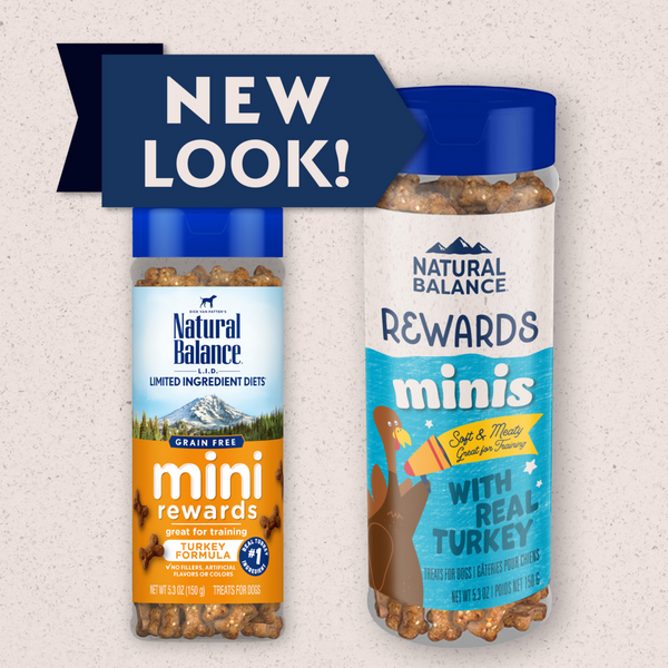 Natural Balance Rewards Minis Dog Treats with Real Turkey