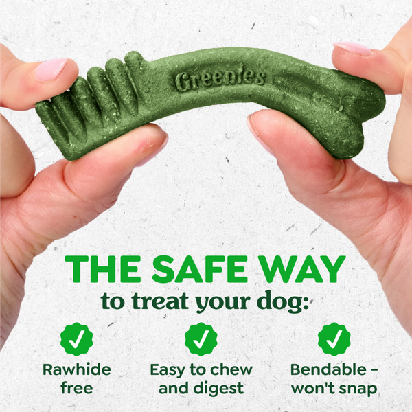 Greenies Large Mint Dental Dog Chews