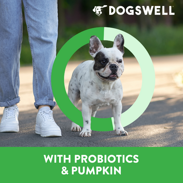 Dogswell Gut Health Jerky Lamb Dog Treats