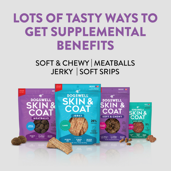 Dogswell Skin & Coat Soft & Chewy Salmon Dog Treats