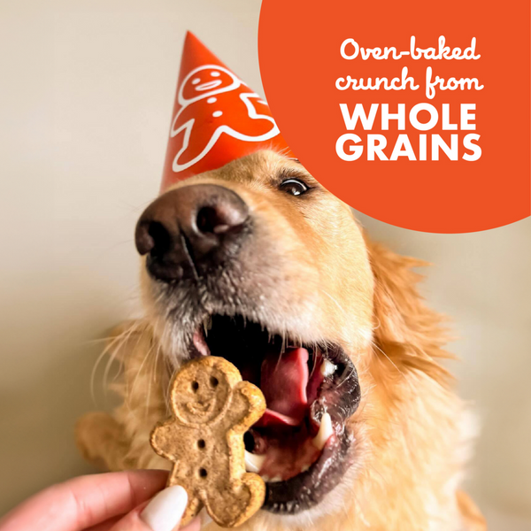 Buddy Biscuits Crunchy Peanut Butter Dog Treats