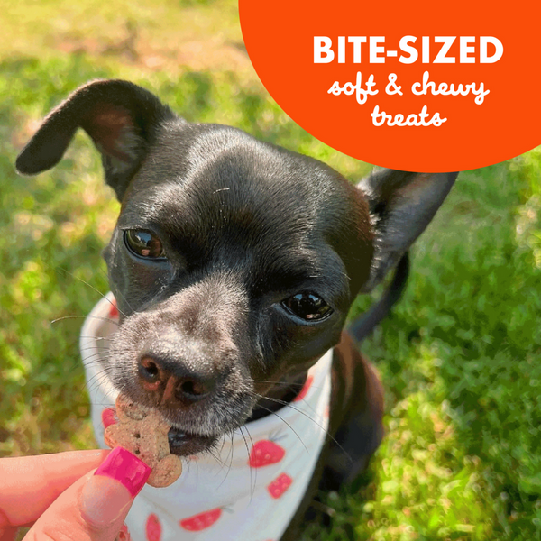 Buddy Biscuits Softies Soft & Chewy Grain Free Peanut Butter Dog Treats