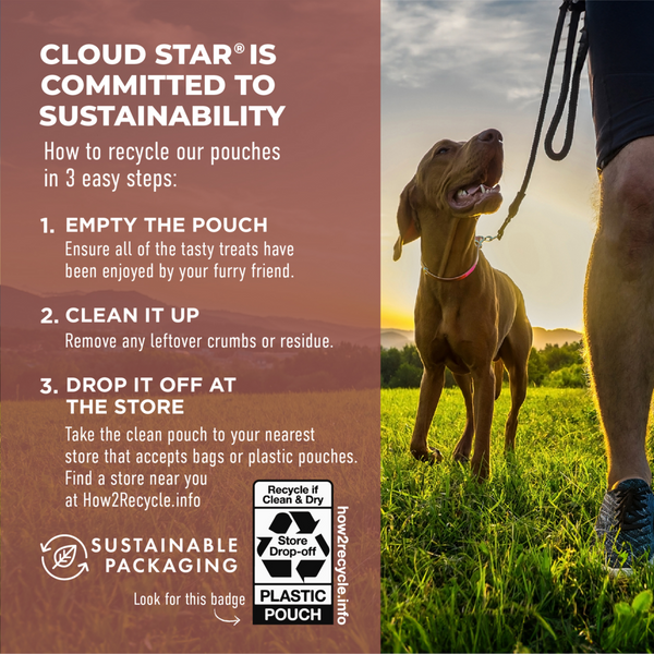 Cloud Star Dynamo Dog Tummy Soft Chews Grain Free Pumpkin & Ginger Dog Treats