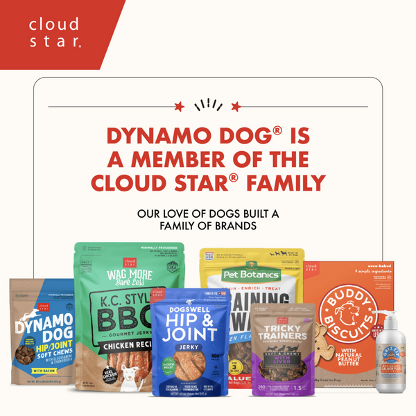 Cloud Star Dynamo Dog Tummy Soft Chews Grain Free Pumpkin & Ginger Dog Treats