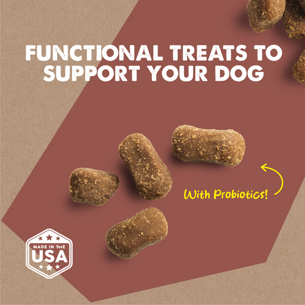 Cloud Star Dynamo Dog Tummy Soft Chews Grain Free Pumpkin & Ginger Dog Treats