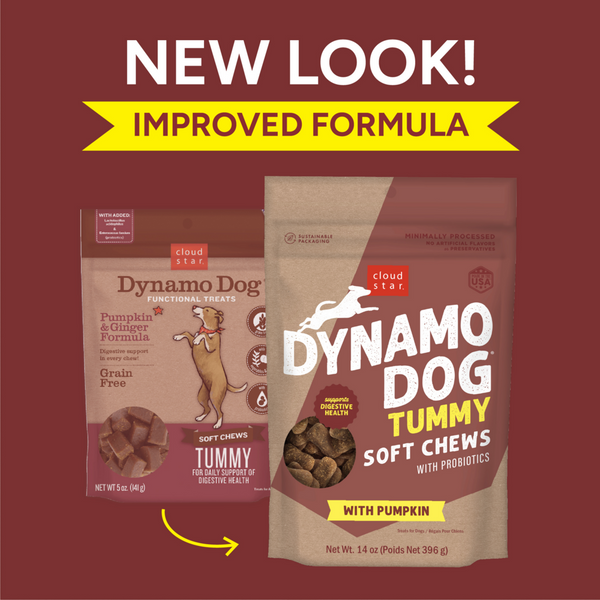 Cloud Star Dynamo Dog Tummy Soft Chews Grain Free Pumpkin & Ginger Dog Treats