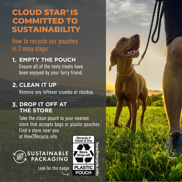 Cloud Star Tricky Trainers Soft & Chewy Grain Free Peanut Butter Dog Treats