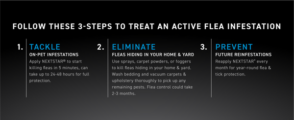 Nextstar Flea & Tick for Small Dogs