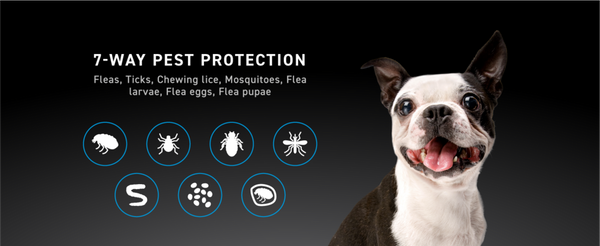 Nextstar Flea & Tick for Small Dogs