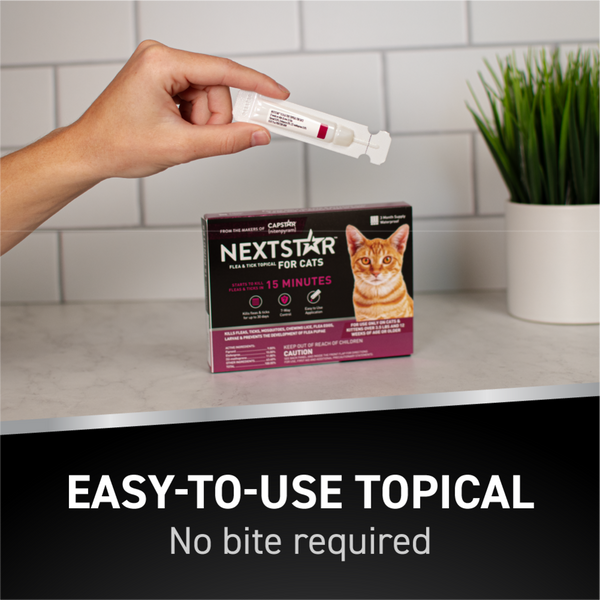 Nextstar Flea & Tick Spot on for Cats