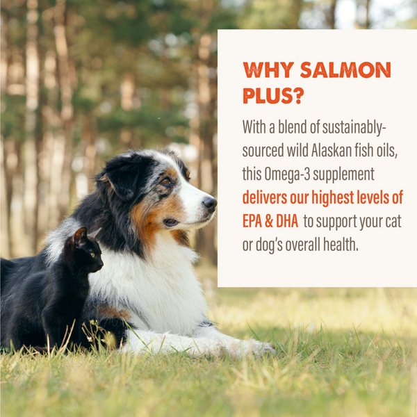Grizzly Salmon Plus Omega 3-6-9 Food Supplement for Dogs and Cats