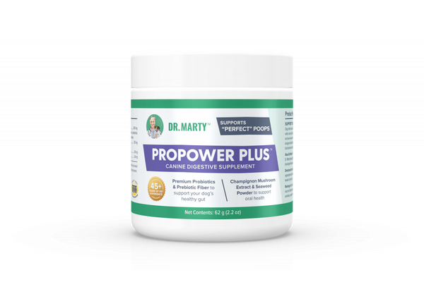 Dr. Marty Canine Digestive Supplement ProPower Plus Probiotic for Dogs
